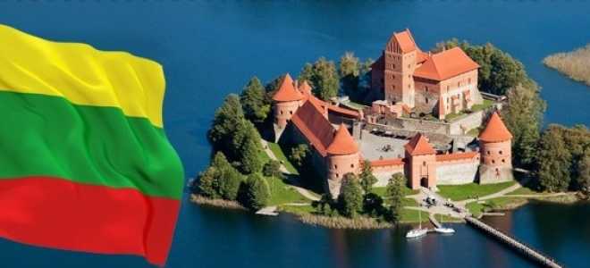 Какие бывают визы в Литву